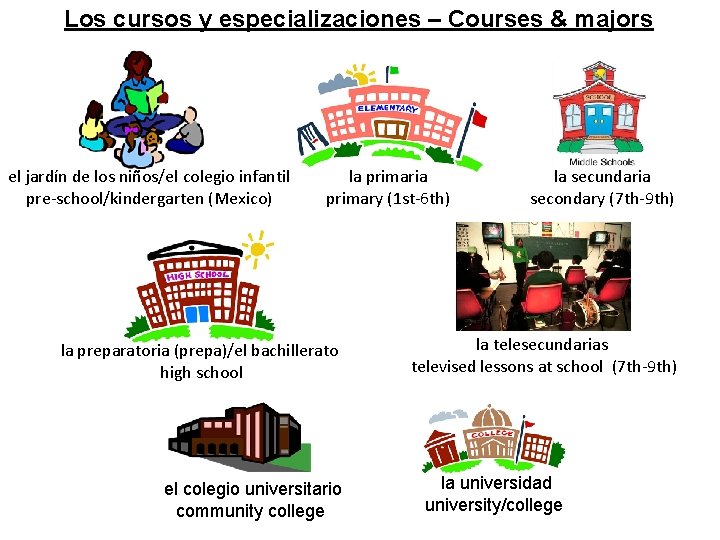Los cursos y especializaciones – Courses & majors el jardín de los niños/el colegio