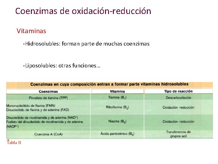 Coenzimas de oxidación-reducción Vitaminas -Hidrosolubles: forman parte de muchas coenzimas -Liposolubles: otras funciones… 