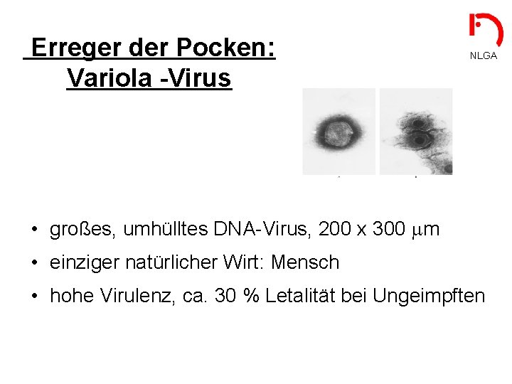 Erreger der Pocken: Variola -Virus NLGA • großes, umhülltes DNA-Virus, 200 x 300 m