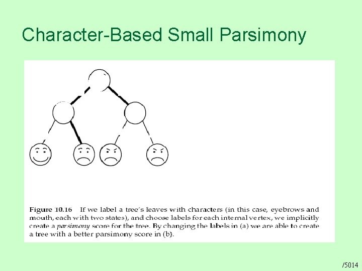 Character-Based Small Parsimony /5014 