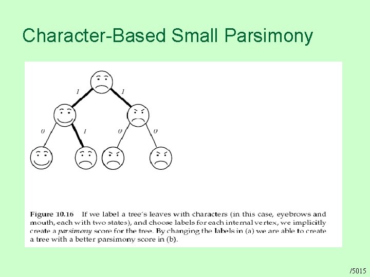 Character-Based Small Parsimony /5015 