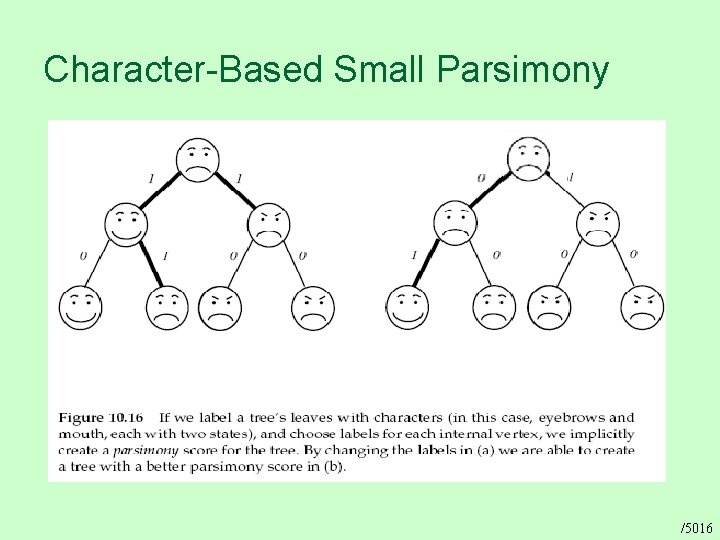 Character-Based Small Parsimony /5016 