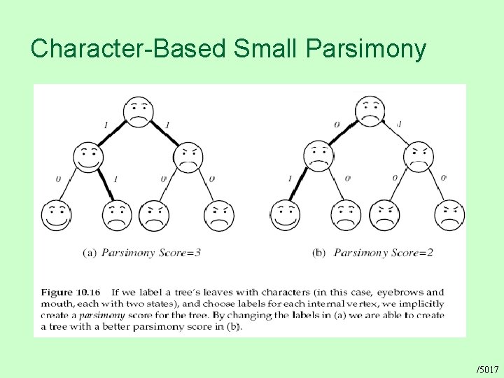 Character-Based Small Parsimony /5017 