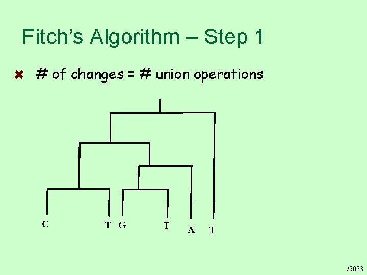 Fitch’s Algorithm – Step 1 # of changes = # union operations C T