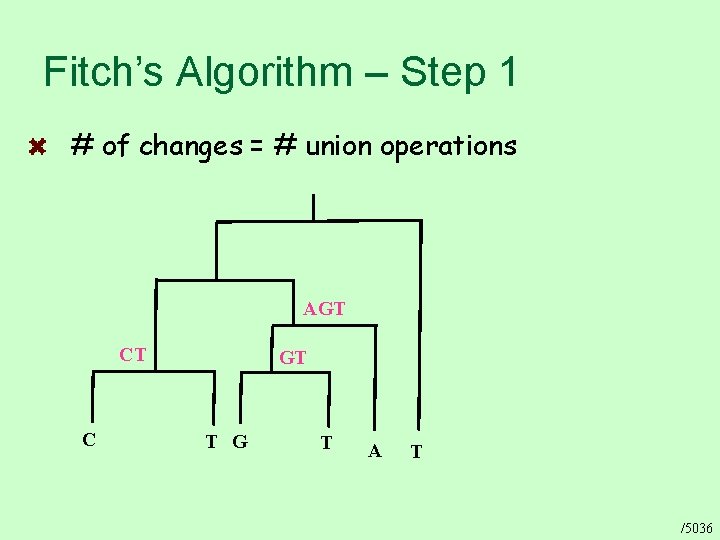 Fitch’s Algorithm – Step 1 # of changes = # union operations AGT CT