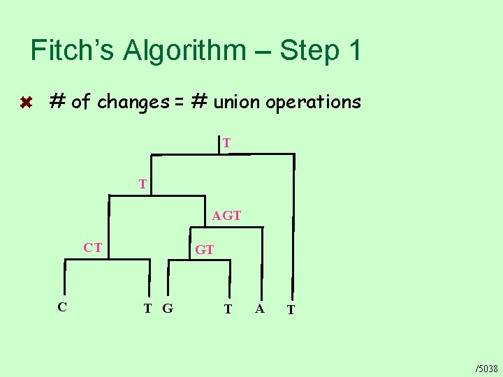 Fitch’s Algorithm – Step 1 # of changes = # union operations T T