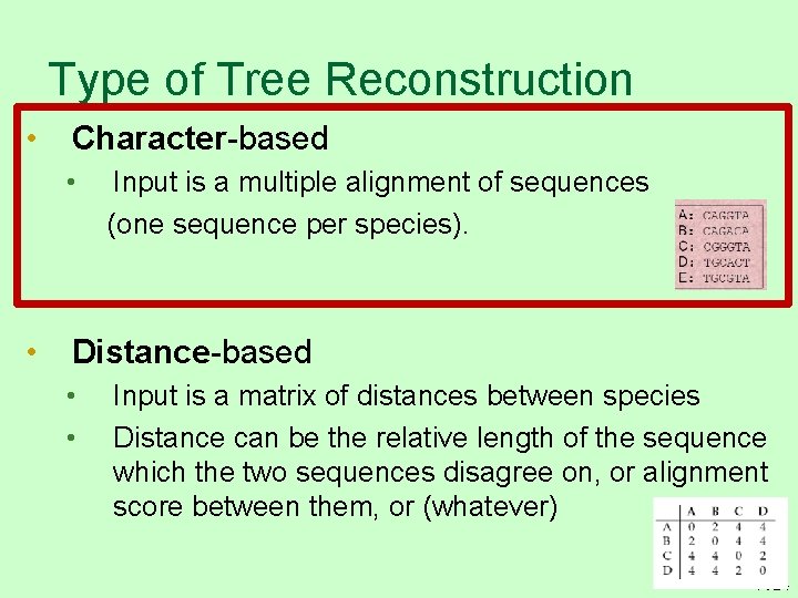 Type of Tree Reconstruction • Character-based • • Input is a multiple alignment of