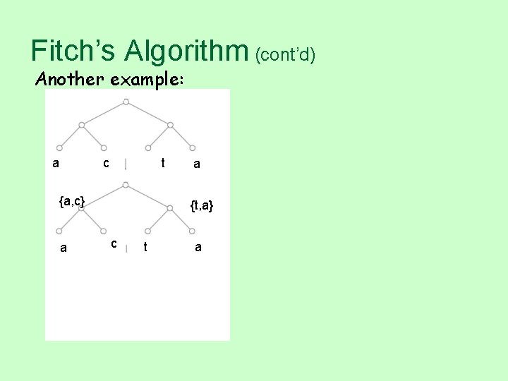 Fitch’s Algorithm (cont’d) Another example: a c t {a, c} a a {t, a}