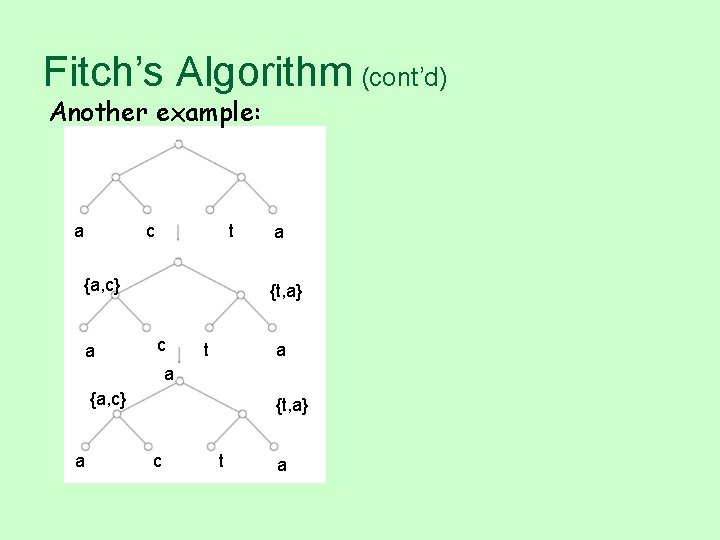 Fitch’s Algorithm (cont’d) Another example: a c t {a, c} a a {t, a}