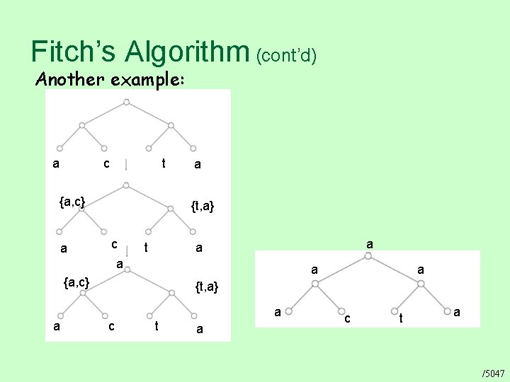 Fitch’s Algorithm (cont’d) Another example: a c t {a, c} a a {t, a}