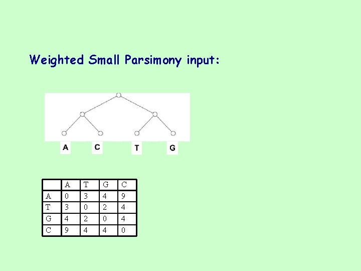Weighted Small Parsimony input: A T G C A 0 3 4 9 T