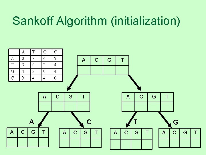 Sankoff Algorithm (initialization) A T G C A 0 3 4 9 T 3