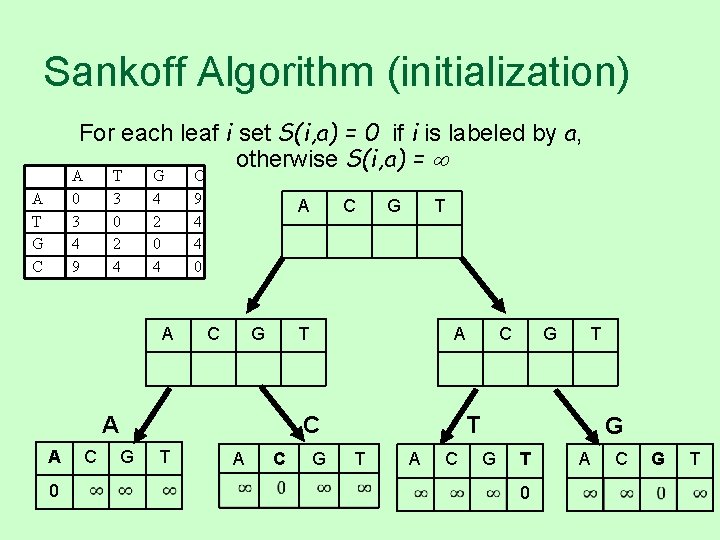 Sankoff Algorithm (initialization) For each leaf i set S(i, a) = 0 if i