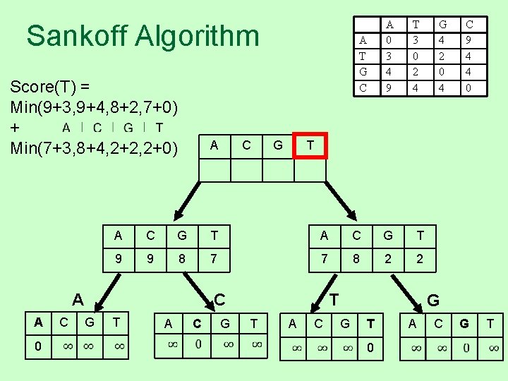 Sankoff Algorithm Score(T) = Min(9+3, 9+4, 8+2, 7+0) + Min(7+3, 8+4, 2+2, 2+0) A