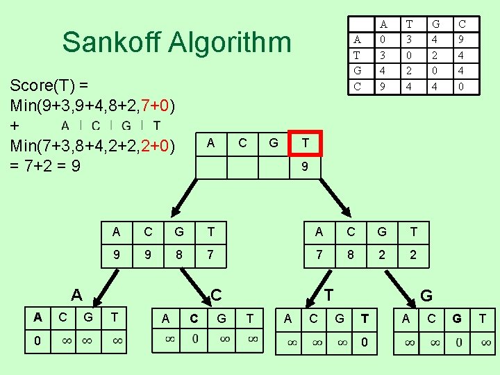 Sankoff Algorithm Score(T) = Min(9+3, 9+4, 8+2, 7+0) + Min(7+3, 8+4, 2+2, 2+0) =