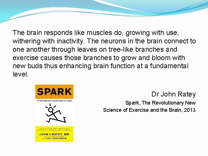 The brain responds like muscles do, growing with use, withering with inactivity. The neurons