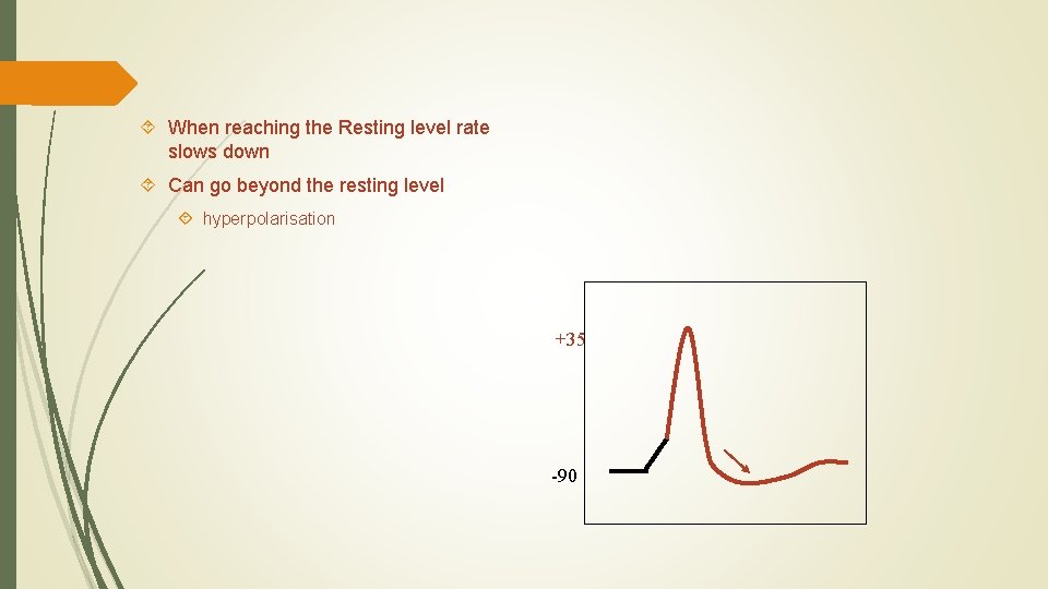  When reaching the Resting level rate slows down Can go beyond the resting
