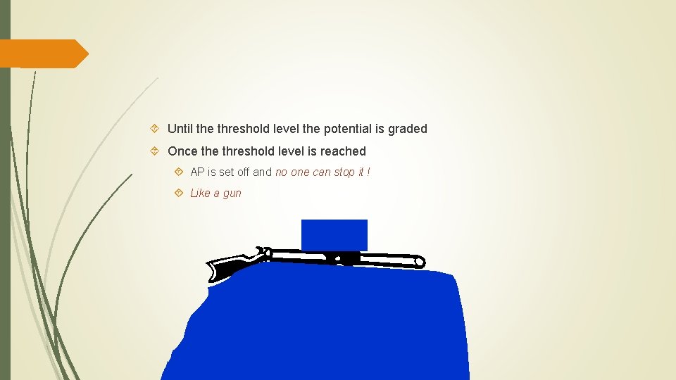  Until the threshold level the potential is graded Once threshold level is reached