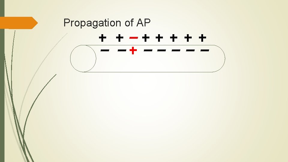 Propagation of AP 