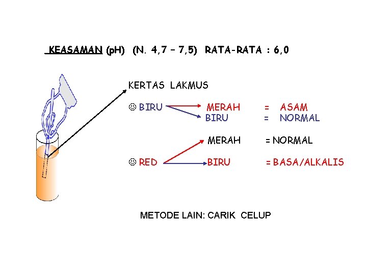 KEASAMAN (p. H) (N. 4, 7 – 7, 5) RATA-RATA : 6, 0 KERTAS