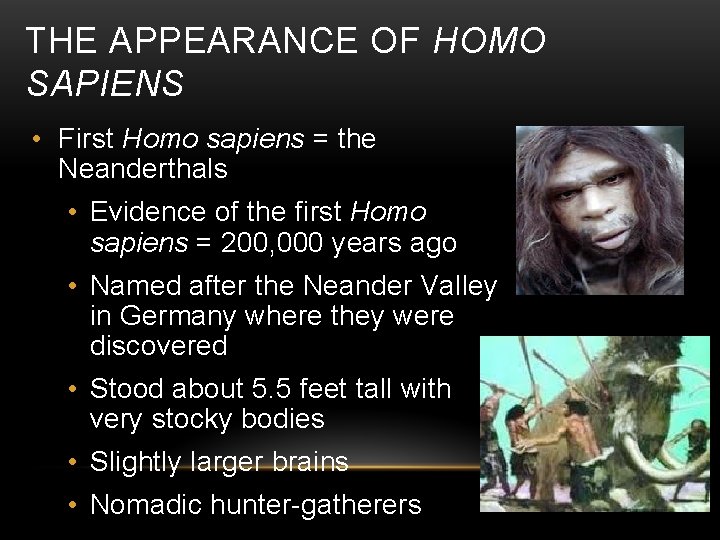 THE APPEARANCE OF HOMO SAPIENS • First Homo sapiens = the Neanderthals • Evidence
