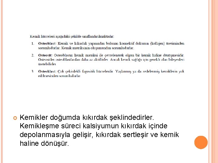  Kemikler doğumda kıkırdak şeklindedirler. Kemikleşme süreci kalsiyumun kıkırdak içinde depolanmasıyla gelişir, kıkırdak sertleşir