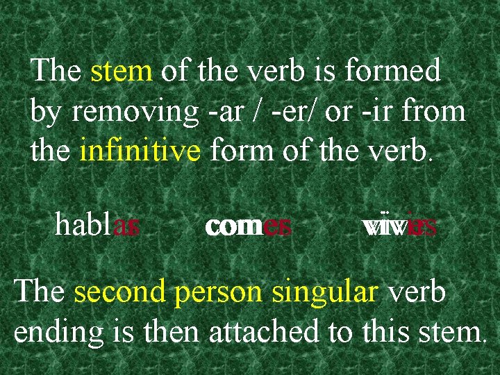 The stem of the verb is formed by removing -ar / -er/ or -ir