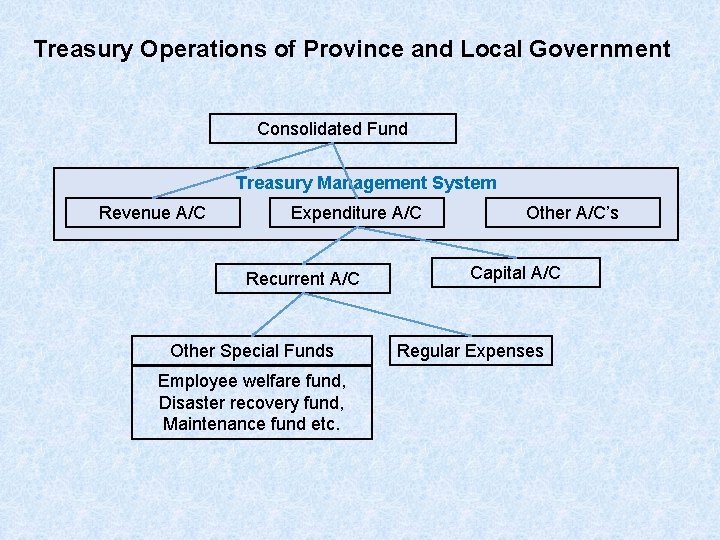 Treasury Operations of Province and Local Government Consolidated Fund Treasury Management System Revenue A/C