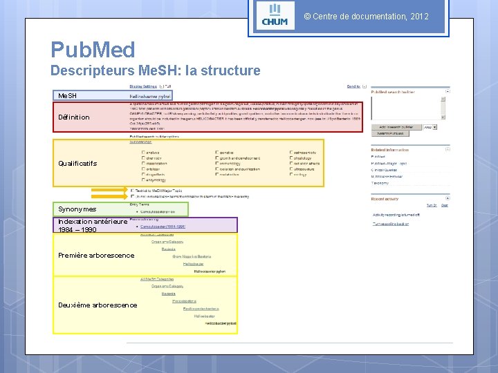 © Centre de documentation, 2012 Pub. Med Descripteurs Me. SH: la structure Me. SH