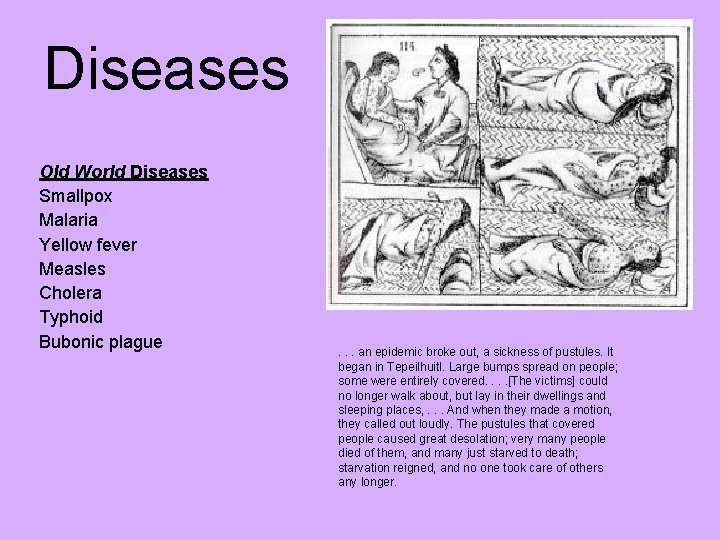 Diseases Old World Diseases Smallpox Malaria Yellow fever Measles Cholera Typhoid Bubonic plague .
