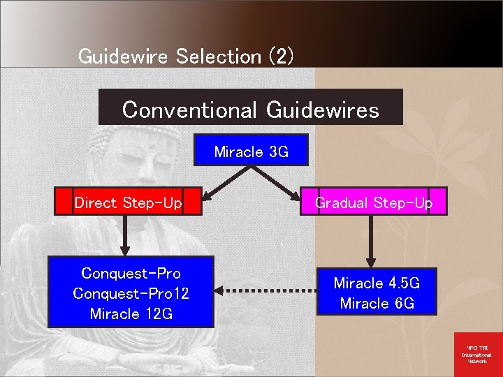 Guidewire Selection (2) Conventional Guidewires Miracle 3 G Direct Step-Up Gradual Step-Up Conquest-Pro 12