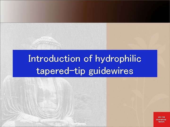 Introduction of hydrophilic tapered-tip guidewires NPO TRI International Network 