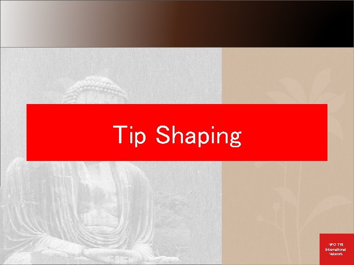 Tip Shaping NPO TRI International Network 