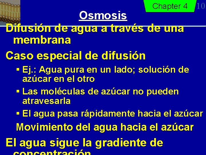 Chapter 4 Osmosis Difusión de agua a través de una membrana Caso especial de