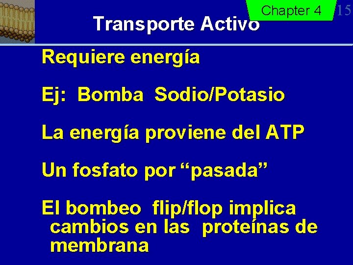 Transporte Activo Chapter 4 Requiere energía Ej: Bomba Sodio/Potasio La energía proviene del ATP