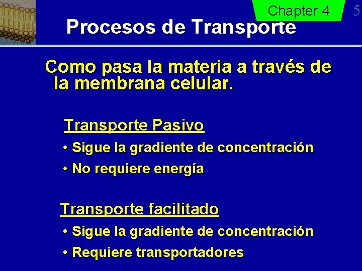 Chapter 4 Procesos de Transporte Como pasa la materia a través de la membrana