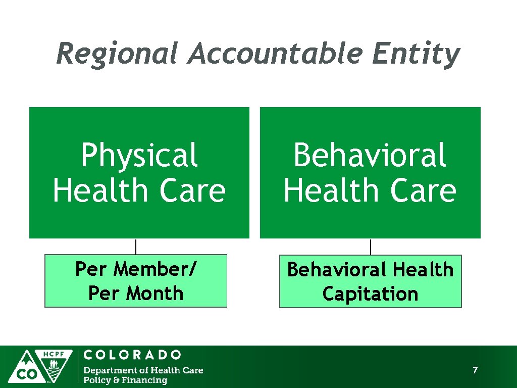 Regional Accountable Entity Physical Health Care Behavioral Health Care Per Member/ Per Month Behavioral