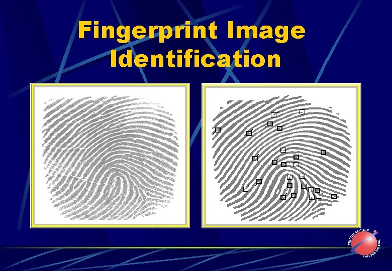 Fingerprint Image Identification 