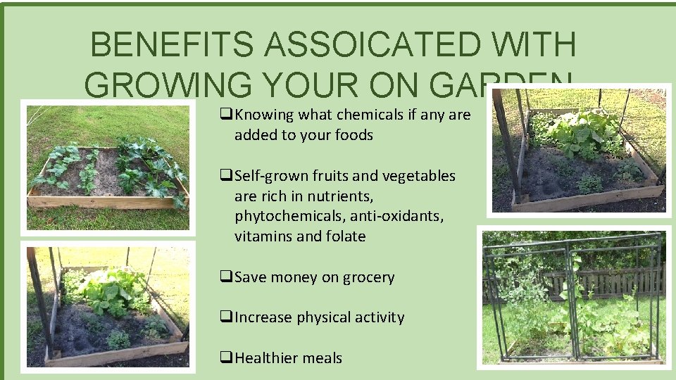 BENEFITS ASSOICATED WITH GROWING YOUR ON GARDEN q. Knowing what chemicals if any are
