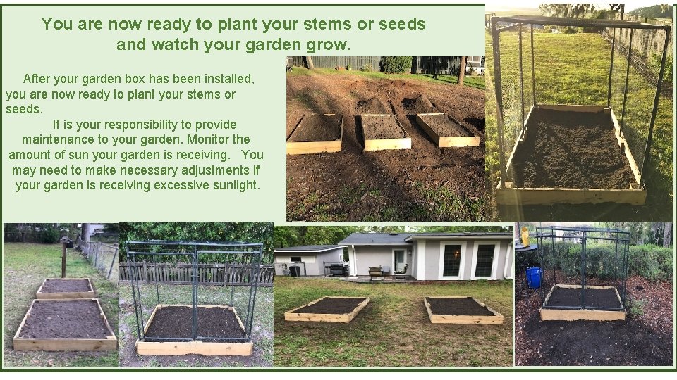 You are now ready to plant your stems or seeds and watch your garden