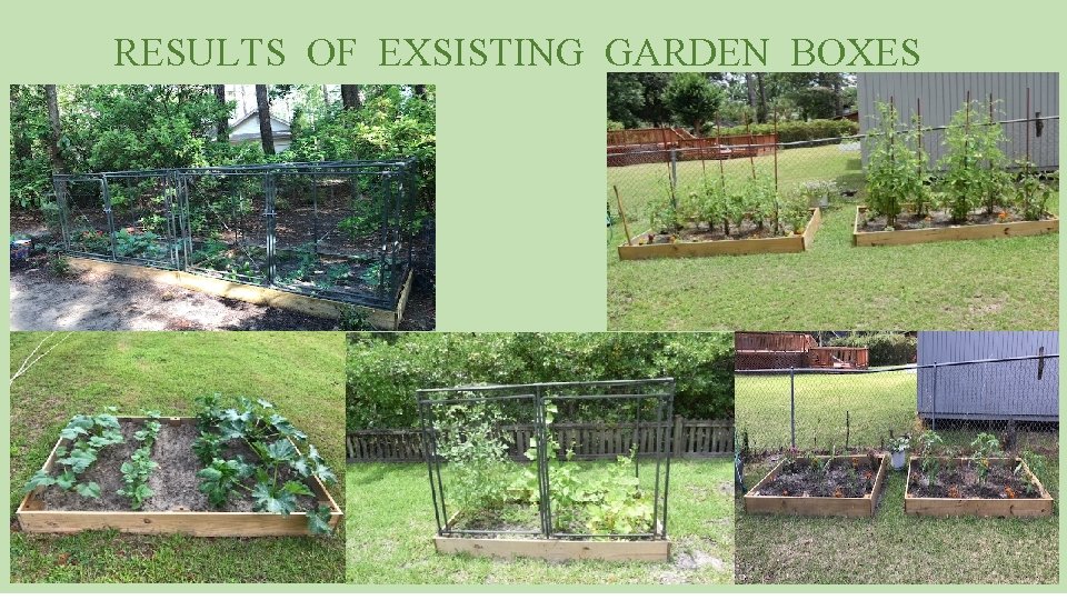 RESULTS OF EXSISTING GARDEN BOXES 