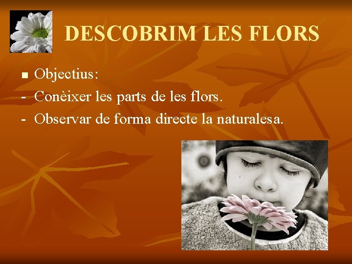 DESCOBRIM LES FLORS Objectius: - Conèixer les parts de les flors. - Observar de