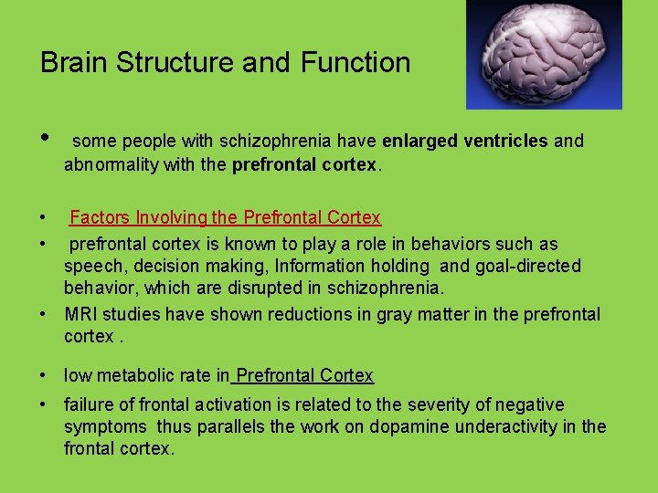 Brain Structure and Function • some people with schizophrenia have enlarged ventricles and abnormality