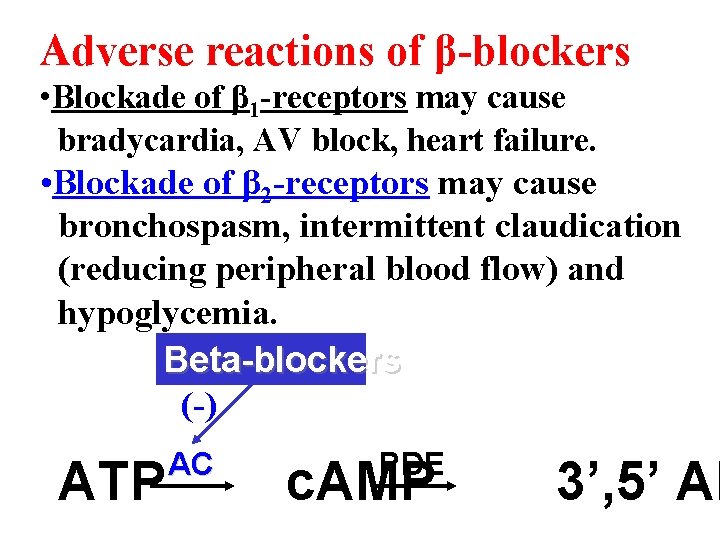 Adverse reactions of β-blockers • Blockade of β 1 -receptors may cause bradycardia, AV