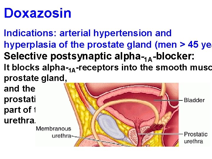 Doxazosin Indications: arterial hypertension and hyperplasia of the prostate gland (men > 45 yea