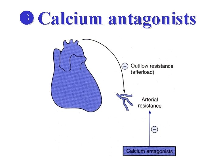  Calcium antagonists 