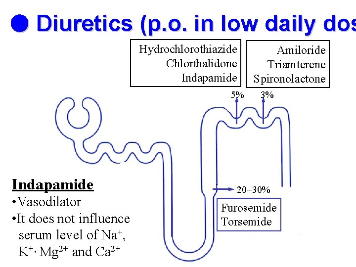  Diuretics (p. o. in low daily dos Hydrochlorothiazide Chlorthalidone Indapamide 5% Indapamide •