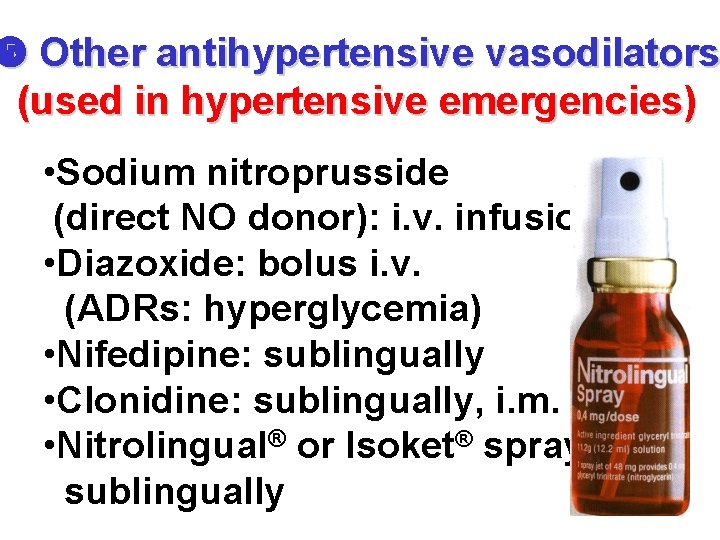  Other antihypertensive vasodilators (used in hypertensive emergencies) • Sodium nitroprusside (direct NO donor):