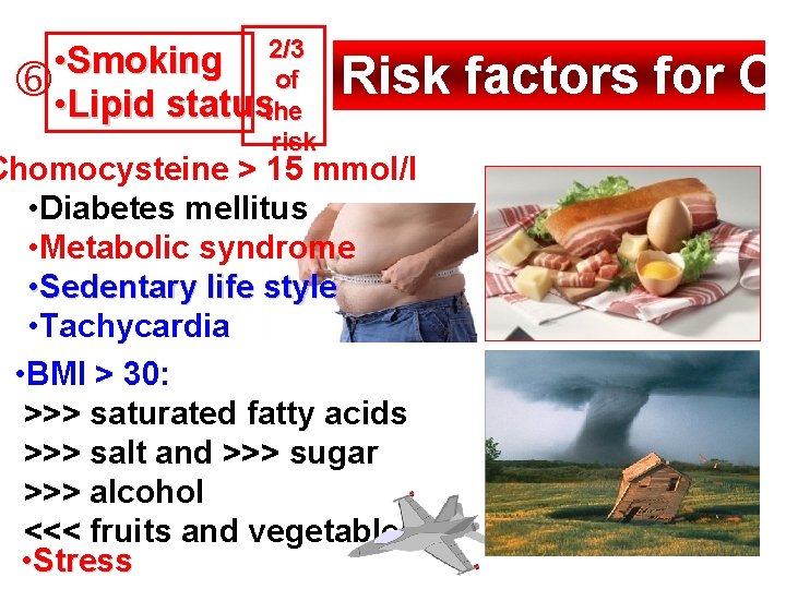  • Smoking 2/3 of • Lipid statusthe risk Risk factors for CV Chomocysteine