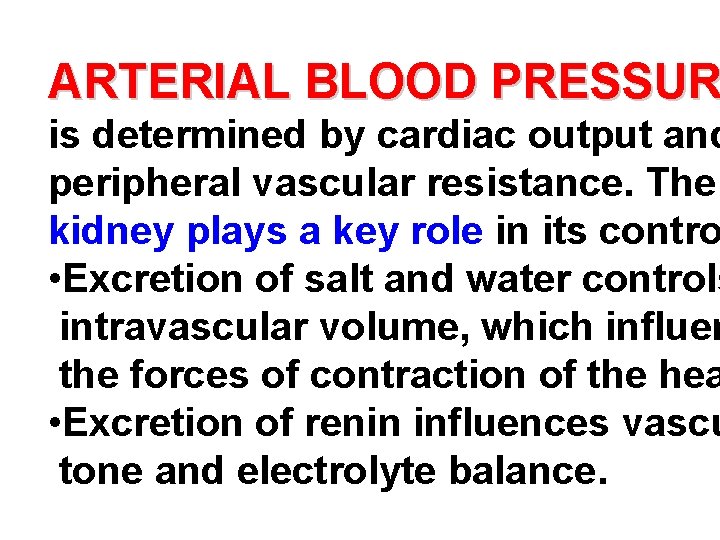 ARTERIAL BLOOD PRESSUR is determined by cardiac output and peripheral vascular resistance. The kidney